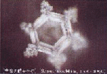 A beautiful inclined crystal